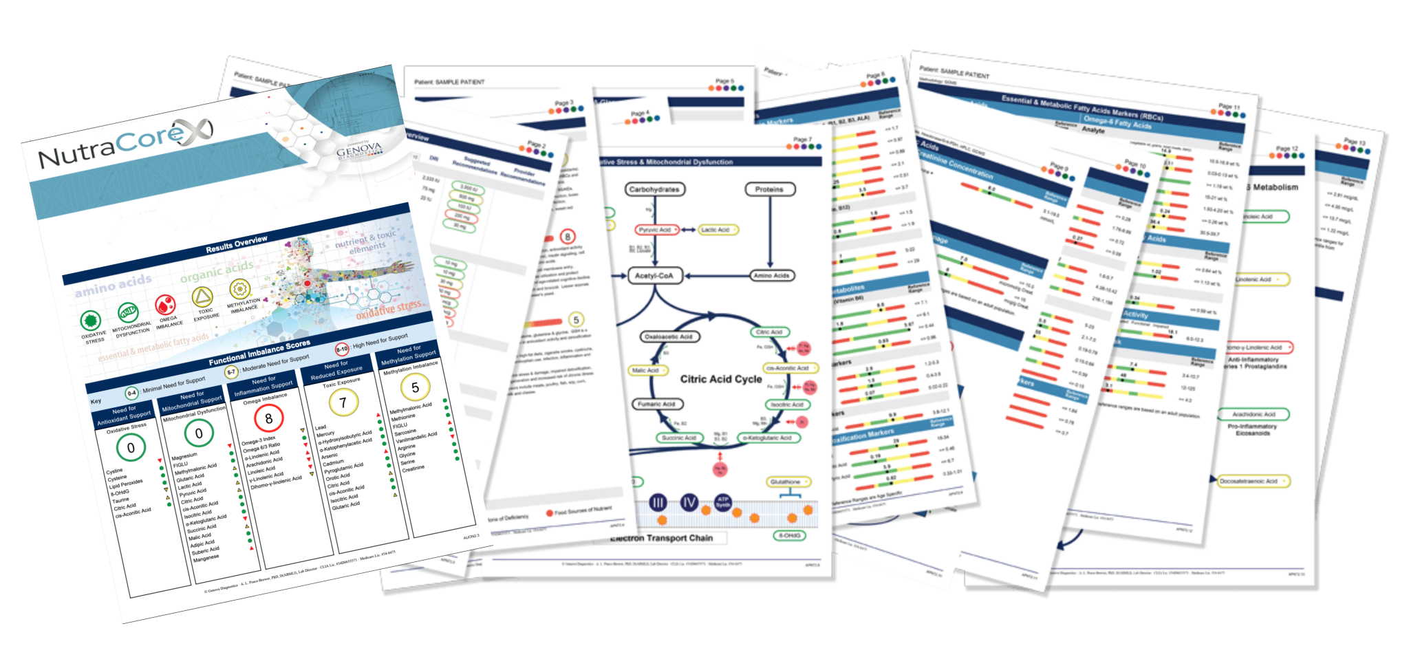 NutraCoreX™ laboratory report spread